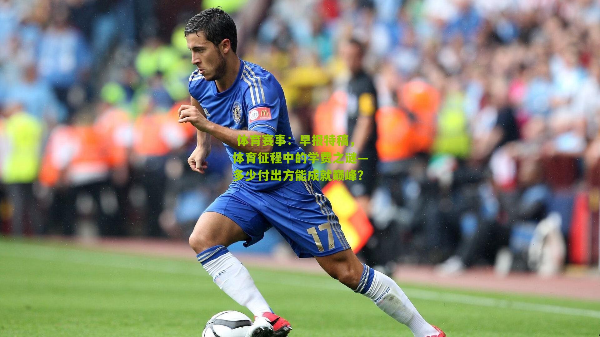 早报特稿，体育征程中的学费之谜—多少付出方能成就巅峰？